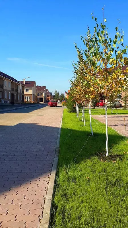 ЖК Зеленый город