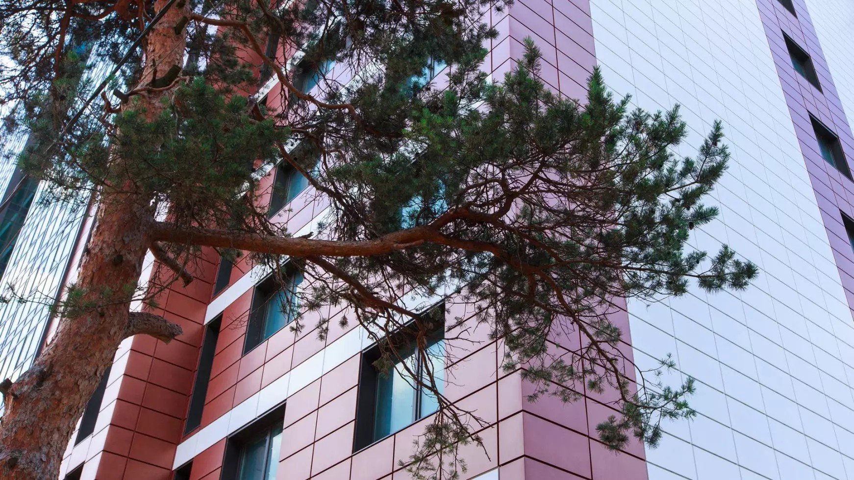 ЖК Sky Skolkovo Apartments