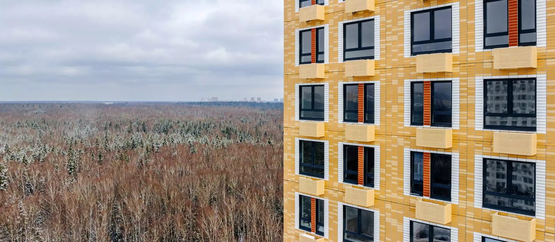 ЖК Измайловский лес