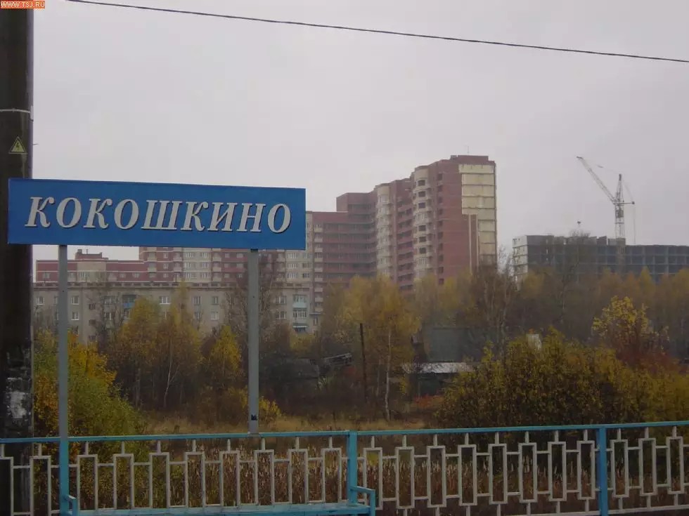 ЖК Сосны