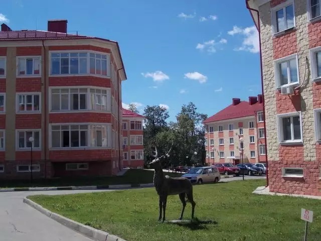 ЖК Первомайское