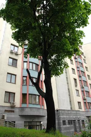 ЖК Император