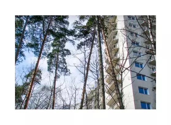 ЖК Искра